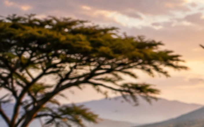Hills and an acacia tree under a soft evening sky in the Tsavo landscape.